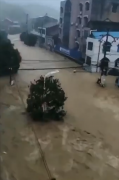 湖北多地遭遇特大暴雨 随州降雨量破当地8月极值：洪水快淹没至二楼