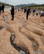 强降雨导致洛阳一河道冲刷出“丹霞地貌”：吸引大批游客参观