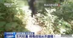 【凡人微光】蔡晓东：生死较量 缉毒战场从不退缩！